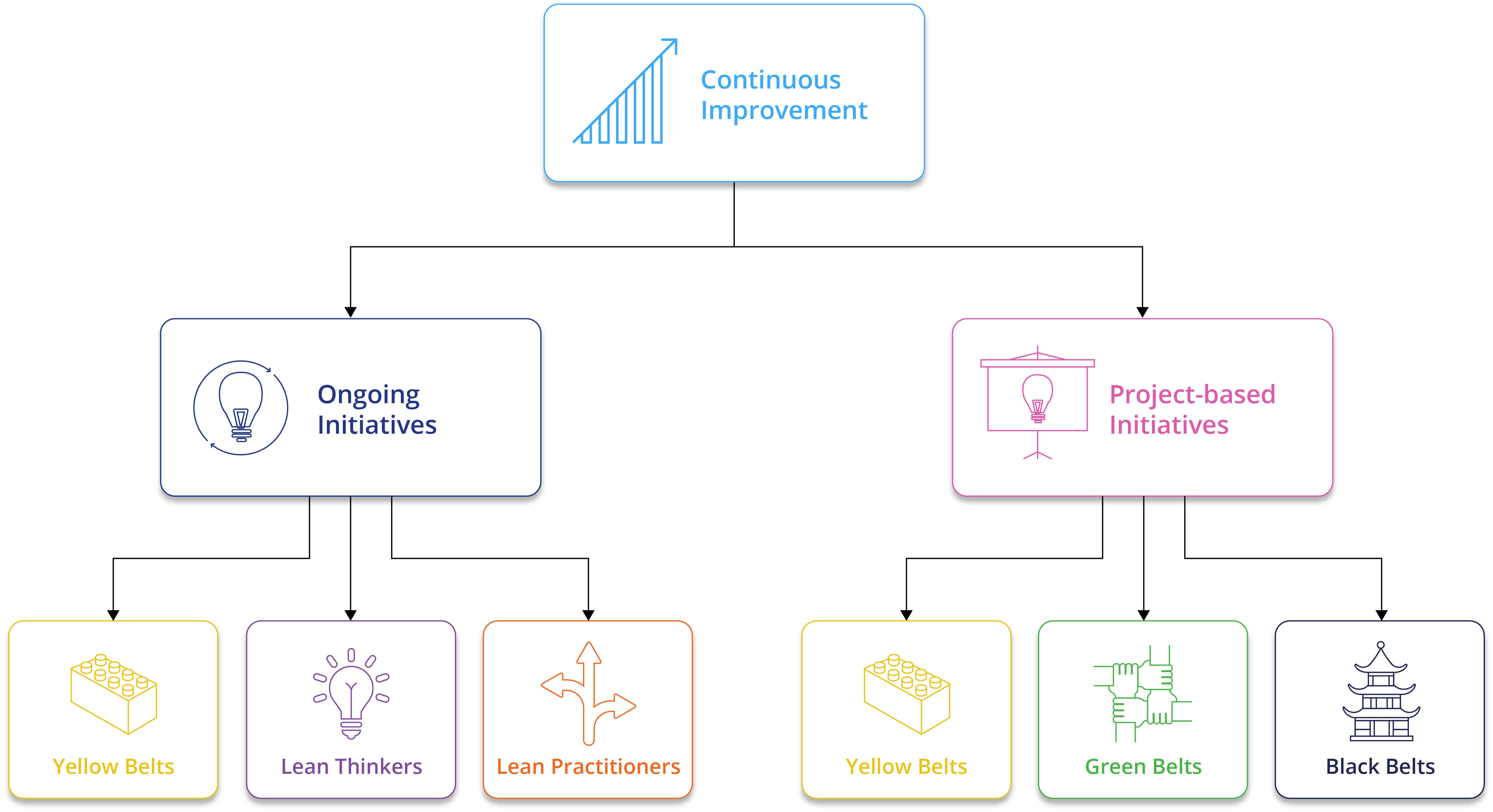 role dans une organisation six sigma